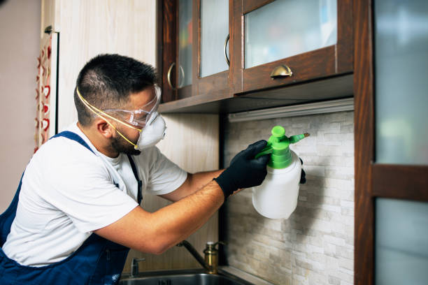 Best Emergency Pest Control  in Rosedale, MS