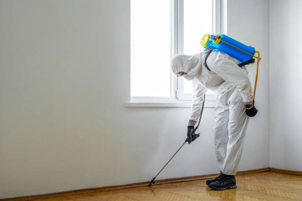 Best Wasp Removal Services  in Rosedale, MS