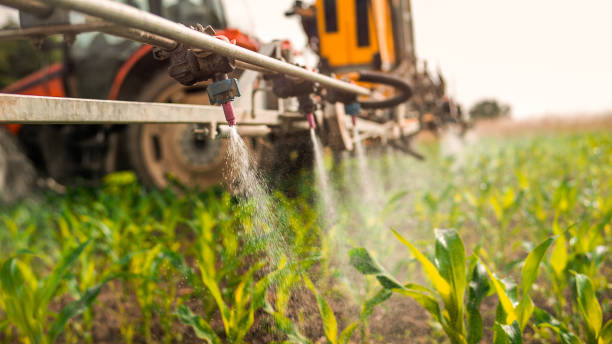 Professional Pest Control in Rosedale, MS